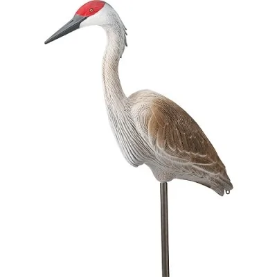 Муляж Серого Журавля Flambeau Sandhill Crane 5970CD
